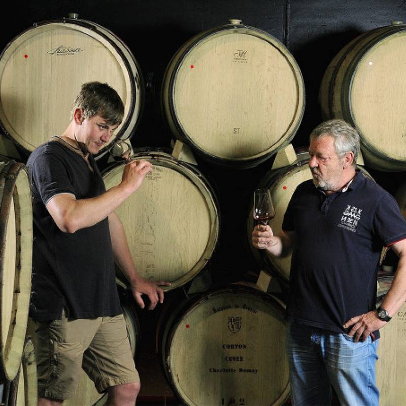 Domaine de Vernus Morgon Grand Cras 2021