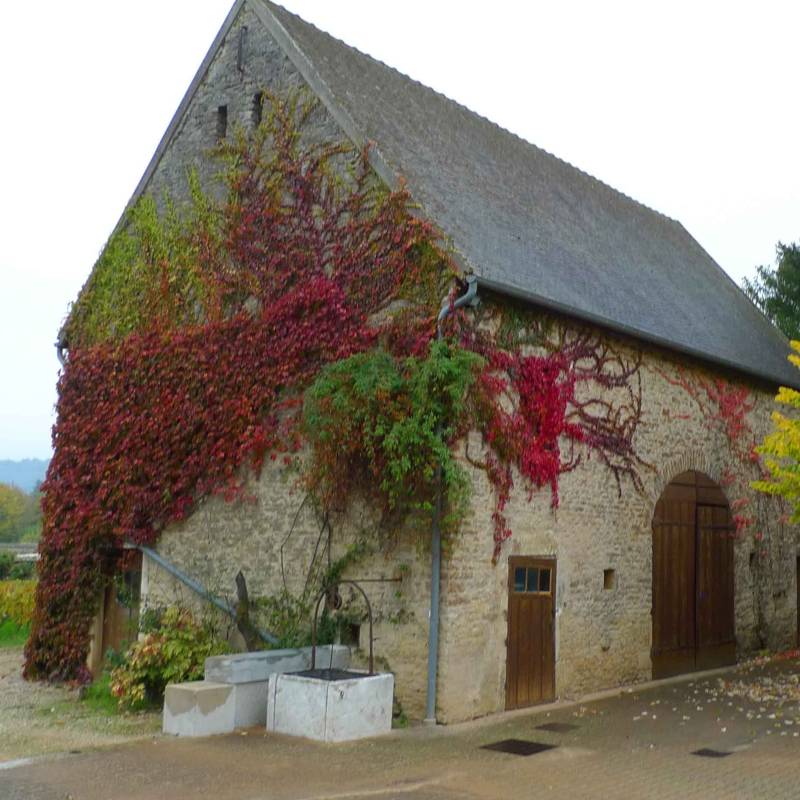 Albert Grivault Meursault 1er cru Perrieres 2021