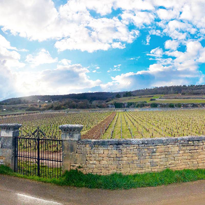 Albert Grivault Meursault Clos du Murger 2020