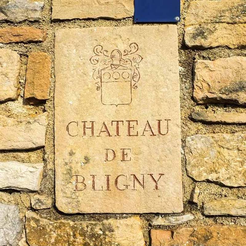 Domaine Pierre Brisset Bourgogne Rouge 2020