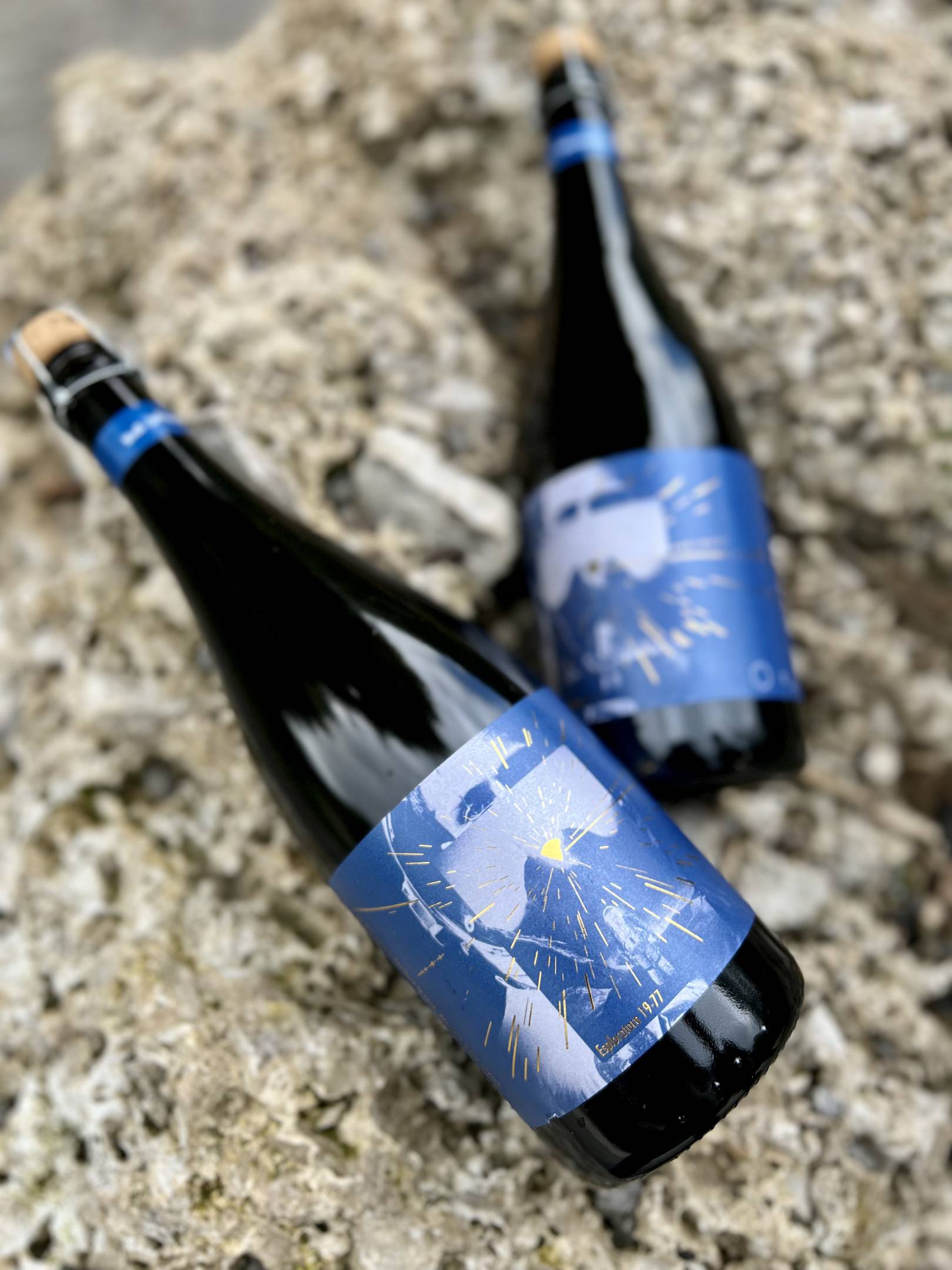 L'Esploratore di Nivelli: la nostra ultima creazione Wild Vigneron