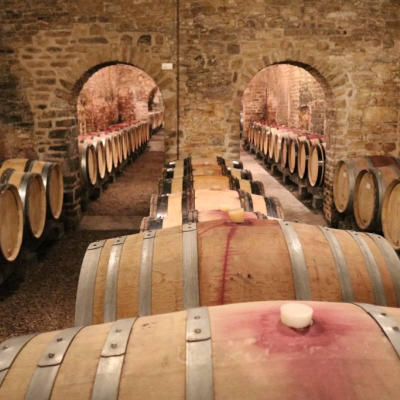 Domaine Pierre Brisset Saint Aubin 1er cru Sous Roche Dumay 2020