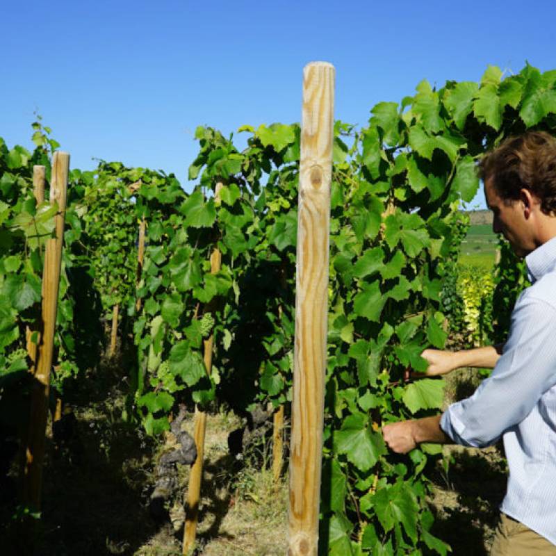 Maison Henri Gouges Nuits Saint Georges Village 2020