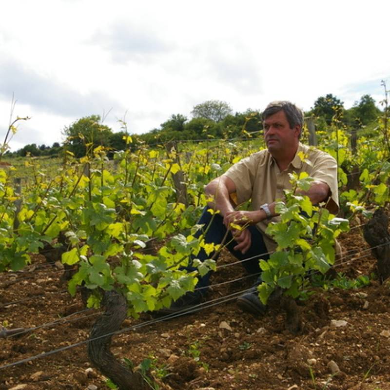 Domaine Forey Pere et Fils Morey Saint Denis 2021